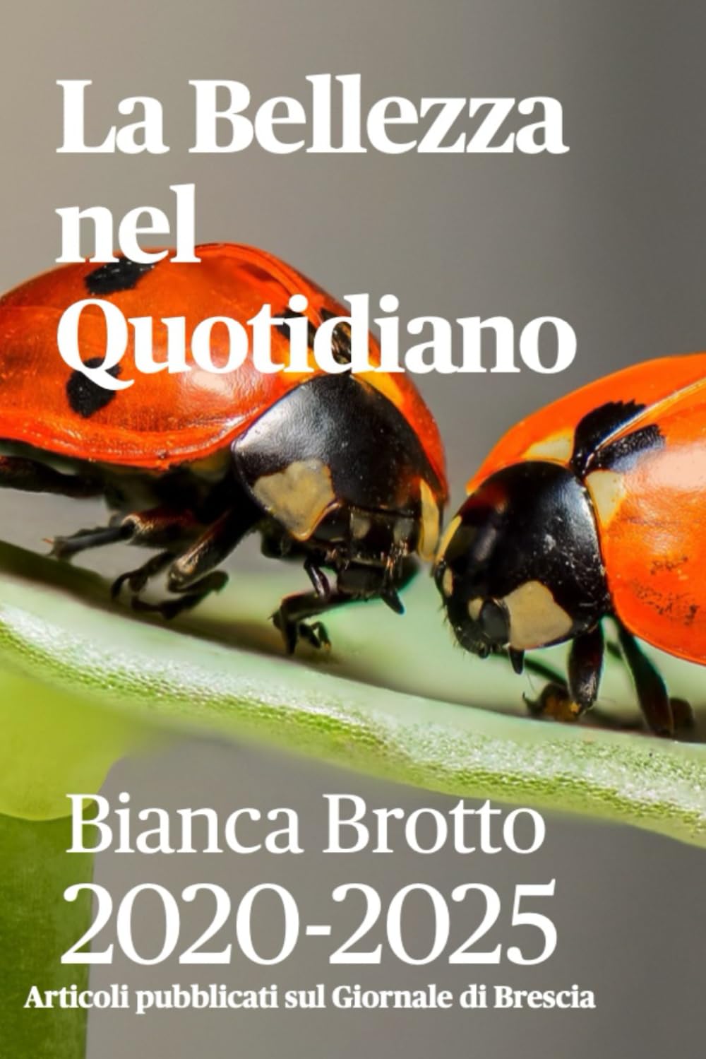 LA BELLEZZA NEL QUOTIDIANO: Raccolta Articoli pubblicati sul Giornale di Brescia
