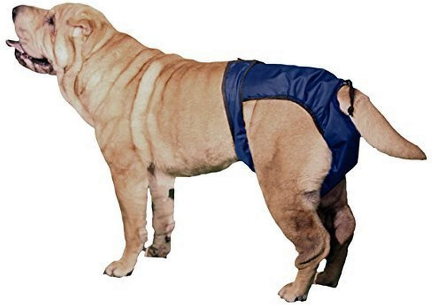 SnuggEase Washable Protective Pants Diapers for Dogs & Cats (2 pack), Medium