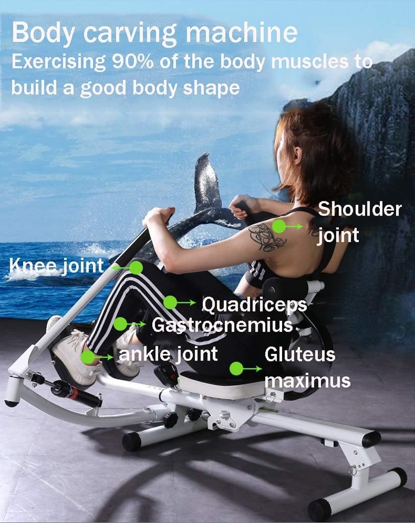 Foldable Rowing Machines Rowing Machine for Home Use Foldable Fitness Training Equipment Multifunctional Hydraulic Rower Double-Oar Exercise Rowing Device