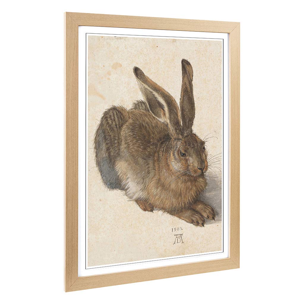 Big Box Art Framed Print of Albrecht Durer The Hare Design | Wall Art Picture | Home Decor for Kitchen, Living, Dining Room, Bedroom, Hallway, Office, Oak, A2 / 24.5x18 Inch / 62x45cm