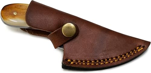 Miniatura 7 de Titan International Knives Cuchillo pequeño con mango de hueso quemado, hoja fija, perfecto EDC para caza y campamento al aire libre, incluye funda