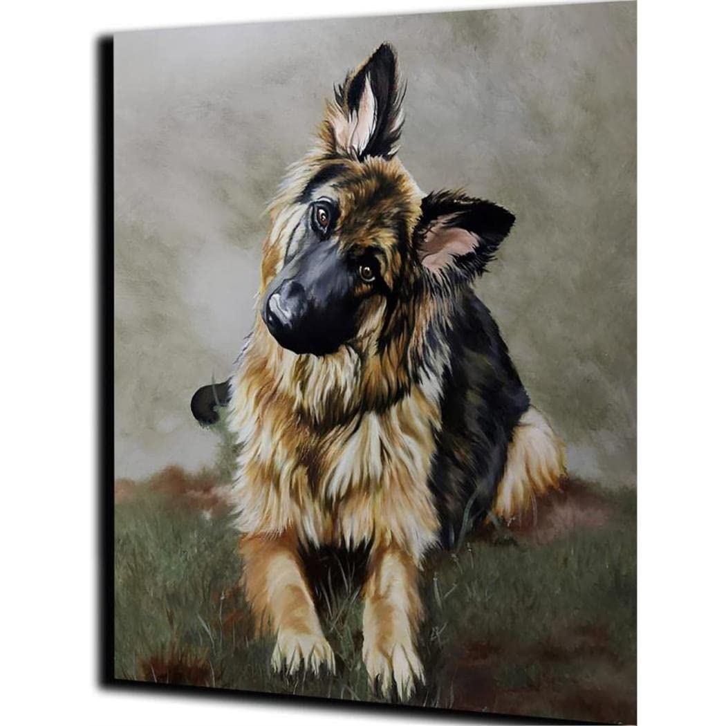 YSCOLOR Paint by Numbers DIY Acrylic Painting Kit for Adults Adults Hand Painted Art Home Decoration Gift German Shepherd Cute Puppy 16X20in/40X50cm