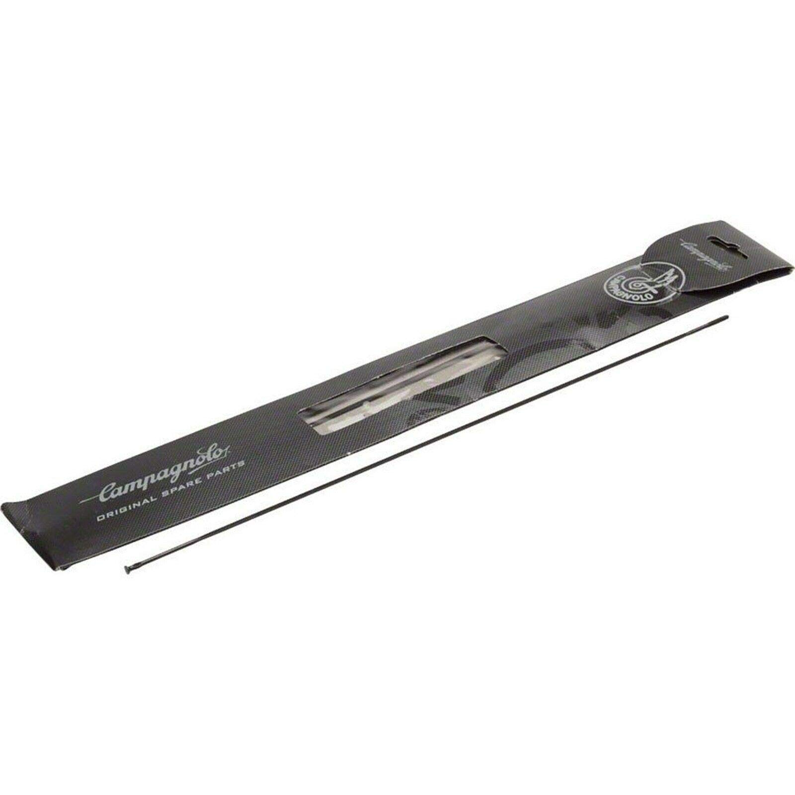 Campagnolo WH-016ZOC - Radios Delanteros para Zona (4 Unidades)