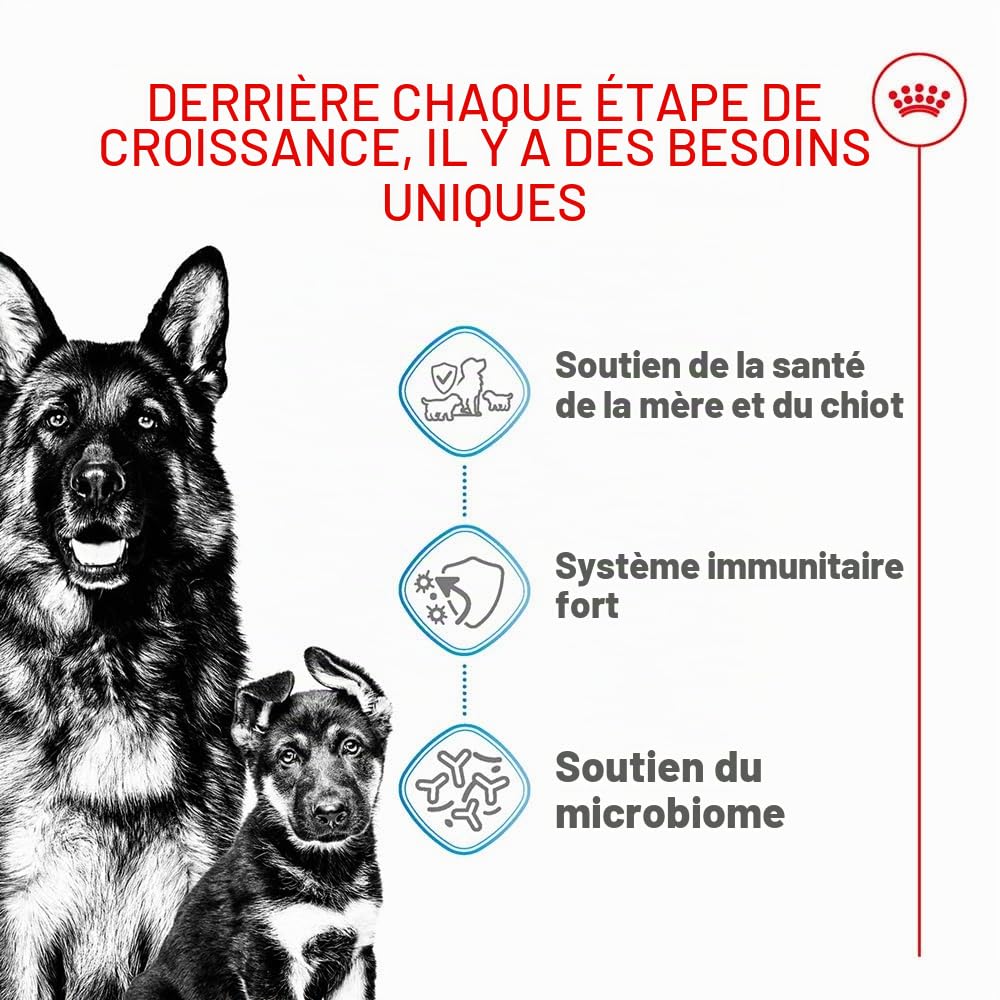 Royal Canin - Croquettes pour chien - Mère et son chiot - 15 kg