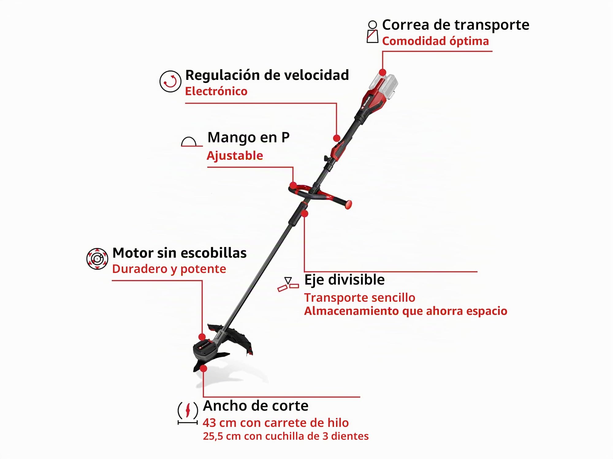 Einhell Professional - Desbrozadora inalámbrica GP-BC 36/430 Li P BL-Solo Power X-Change (36 V, Motor sin carbón, Ancho de Corte 43 cm, Mango en P, Bobina Doble Hilo, Hoja de 3 Dientes, sin batería)