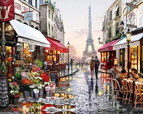 HJAA DIY 5D Diamond Painting Eiffel Tower by Number Kits, Flower Street Full Drill Crystal Rhinestone Embroidery Pictures Arts Craft for Home Wall Decor Gift Adults and Kids(16x12inch)