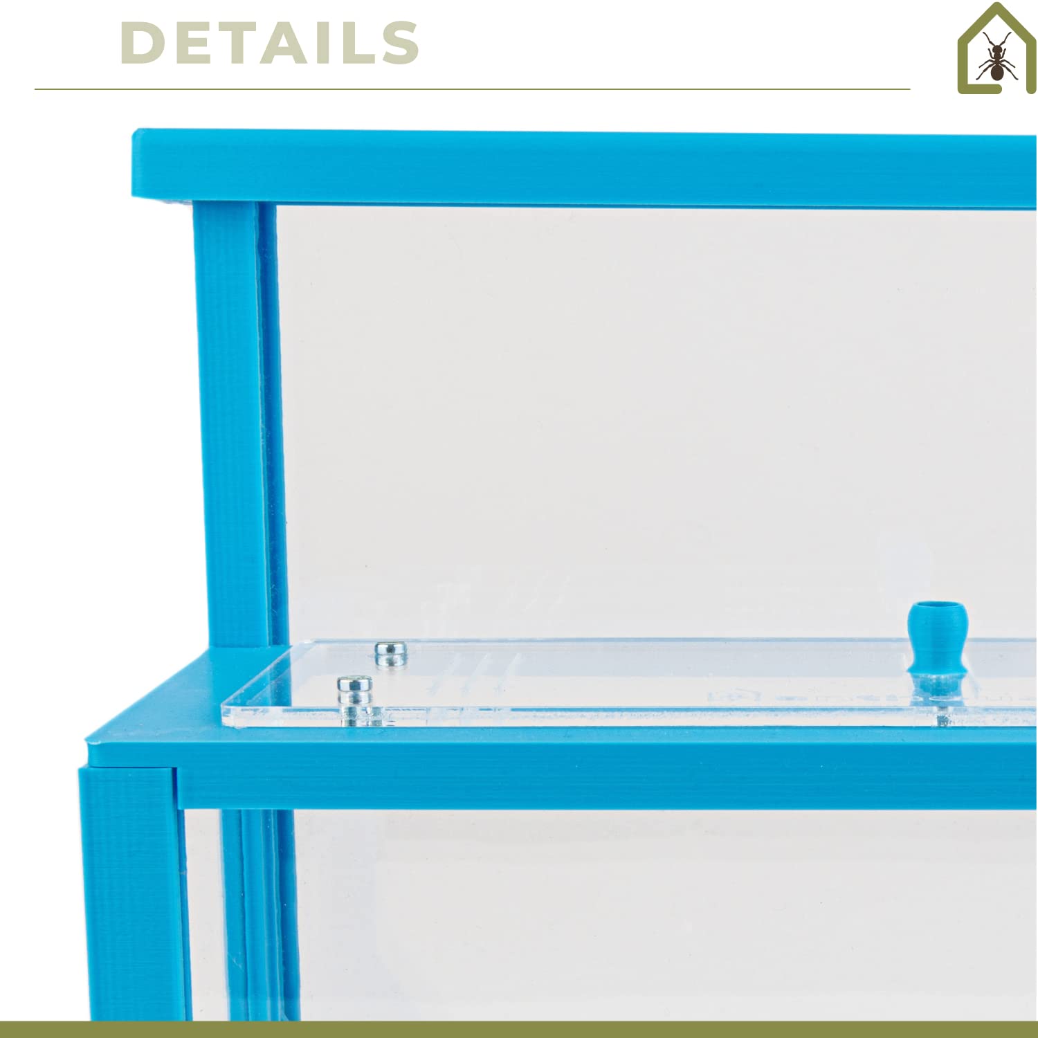 Anthouse.es - Hormiguero Natural de Arena - Kit Hormiguero 3D Forma de L (Sándwich + Caja de Forrajeo) - Granja de Hormigas con Colonia de Hormigas Incluida - 25x20x1 cm y 10x24x10 cm - Azul - 5