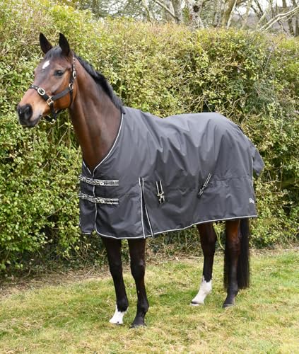 Rhinegold Nevada tapis d'extérieur 50g pour cheval de taille moyenne