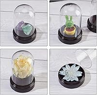 Vista 3 de NBEADS 6 juegos de cubiertas de cúpula de plástico, 2.77 x 4.2 pulgadas de diámetro, cúpula de cúpula de cúpula Cloche Mini transparente con base