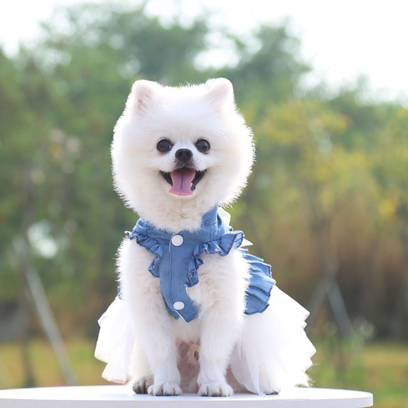 Pet Bow Princess Dress Summer Dog Vest Denim Shirt Sundress Sweet Wedding Party Dress Pet Clothes