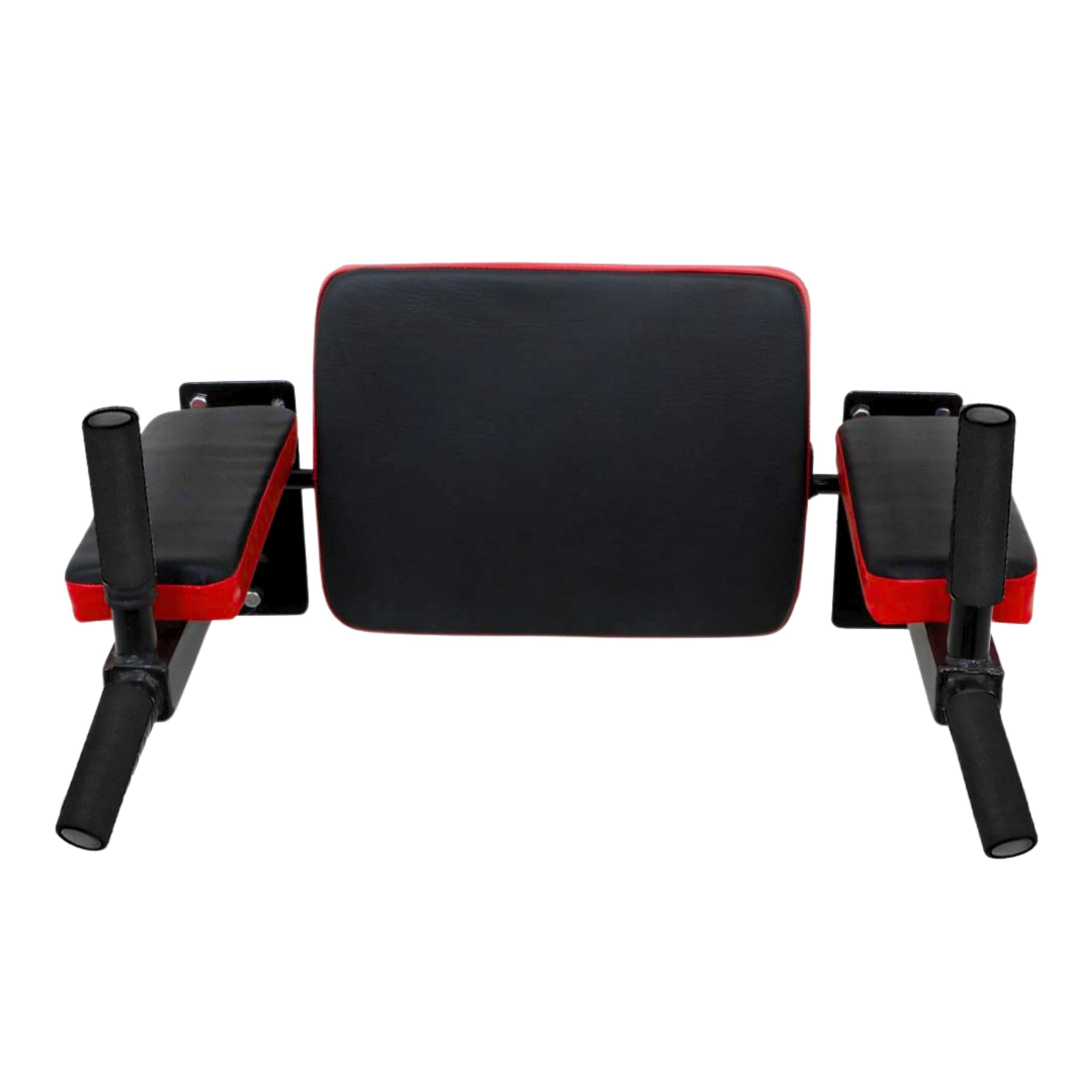 Protoner Padded Dips Bar for Back and Core Exercises (B08PZYZ38K) Amazon Price History, Amazon Price Tracker
