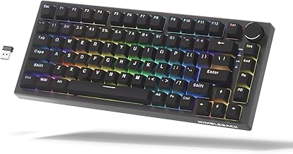 LTC Nimbleback NB831 Wireless 75% Triple Mode BT5.0/2.4G/USB-C Wired Hot Swappable Mechanical Keyboard, 83-Keys Bluetooth RGB Compact Gaming Keyboard with Software (Hot Swappable Red Switch, Black)