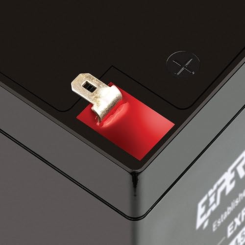 Miniatura 6 de ExpertPower EXP1245 Reemplazo de batería de seguridad para alarma doméstica Negro 12V 4.5AH Alfombrilla de vidrio absorbente 1 paquete