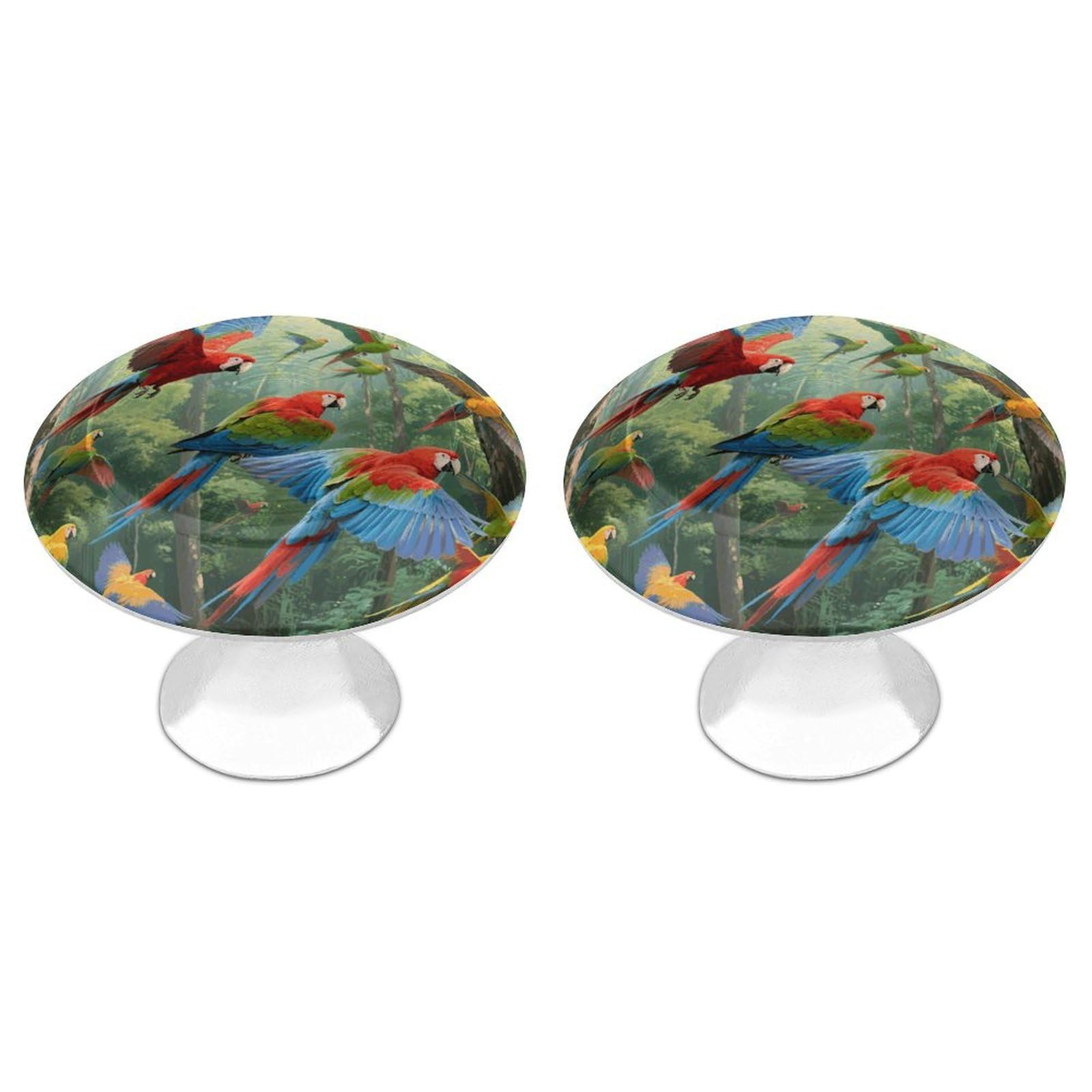 Vstadank Style Parrots Drawer Knob Nice Bathroom Cabinet Knob Round Cabinet Pull Stainless Steel Cabinet Handle Circle Drawer Handle Modern Drawer Pull For Wardrobe Cupboard 2 Pcs
