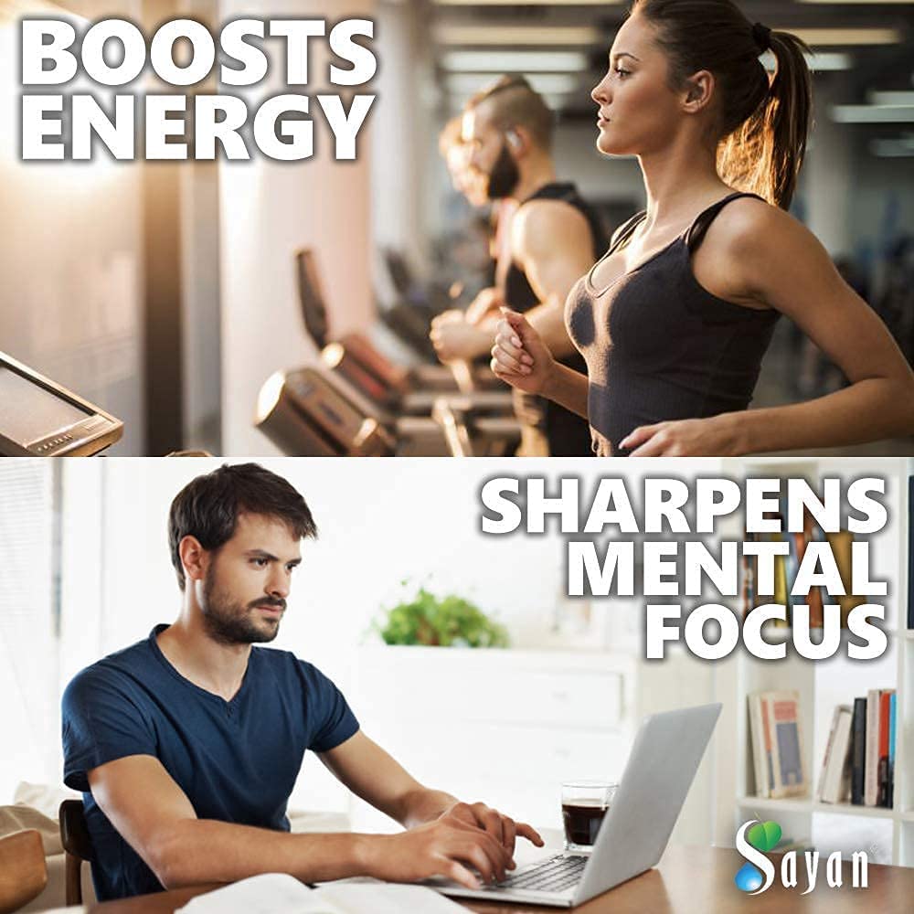 Sayan Siberian Chaga Mushroom Tea with Birch Tree Buds, Wild-Harvested Herbal Tea Blend, Raw & Water-Extracted Chaga, Caffeine-Free Loose Tea (4 oz)