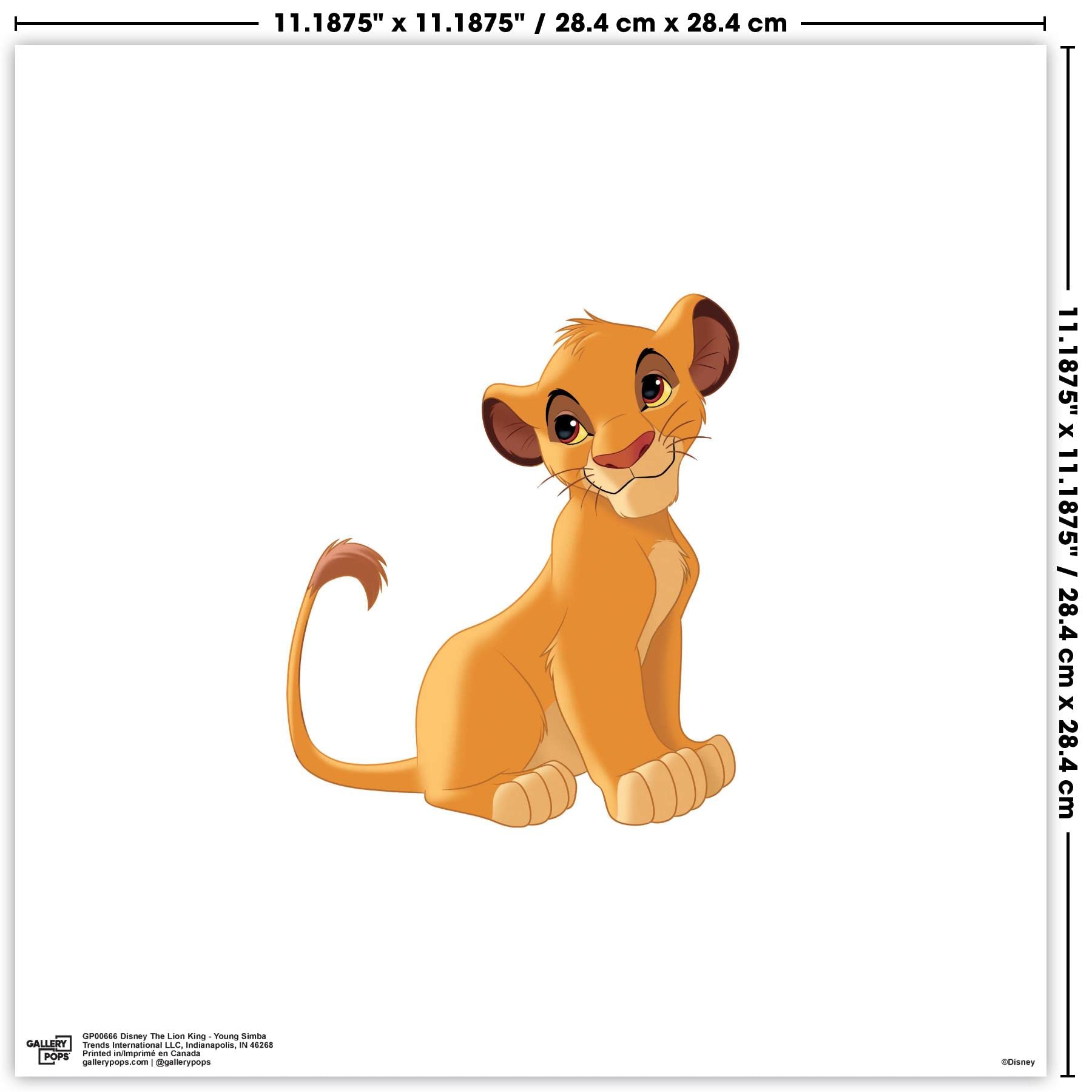 Simba Drawing Simba, Drawing By Franck Neuville | ArtMajeur