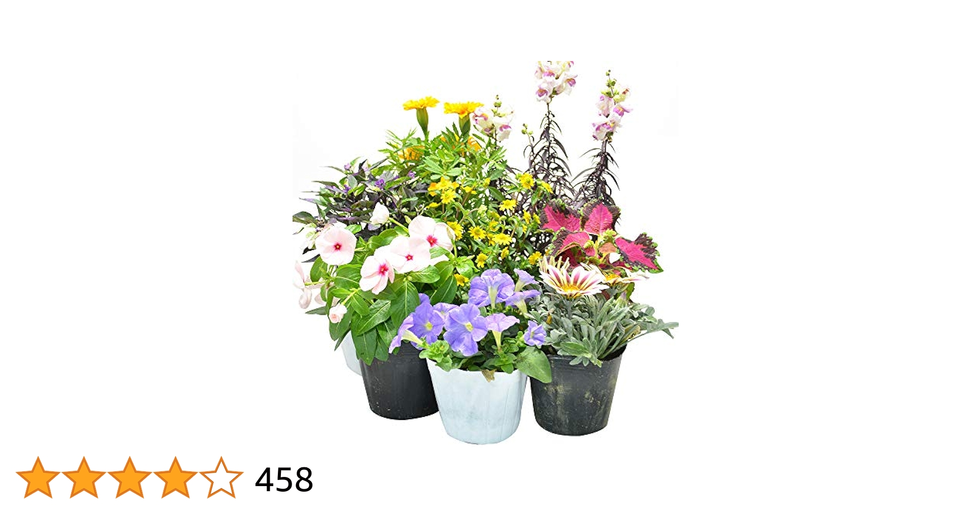 No.347 348 　 クロノス　2個セット　寄せ植え　花 No.347 348 クロノス様専用 2個セット 寄せ植え 花
