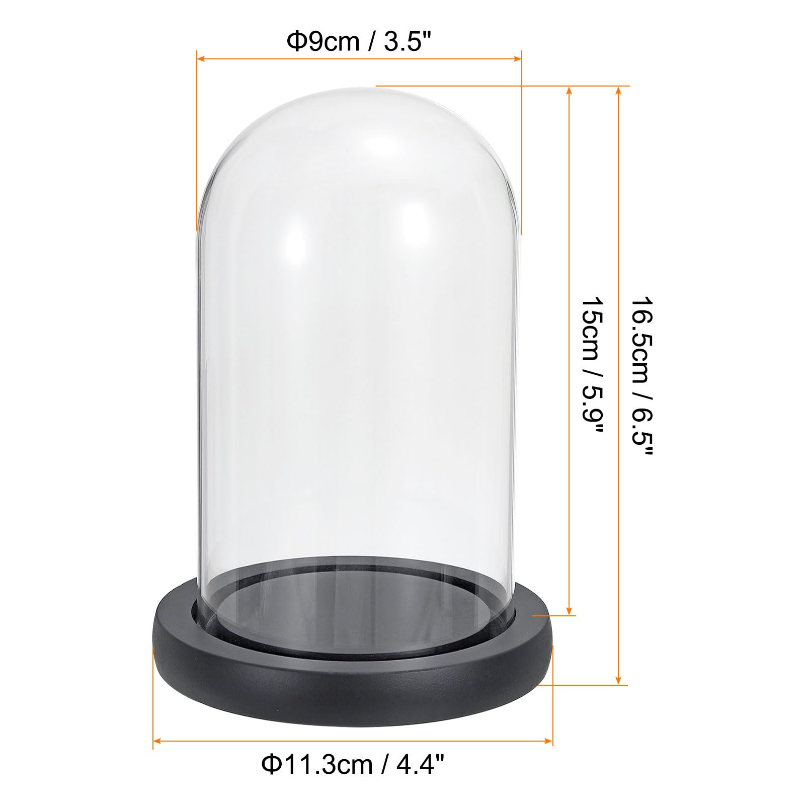 PATIKIL Cloche Di Vetro Con Base In Legno – Campana Trasparente Per Esposizione, 20x9 Cm, Per Piante E Candele - 2