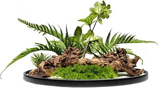XXXDXDP Chinese Wabi-sabi Wind Zen Simulation Withered Greenery Dining Table Bonsai Floral Room Hotel Box Decoration