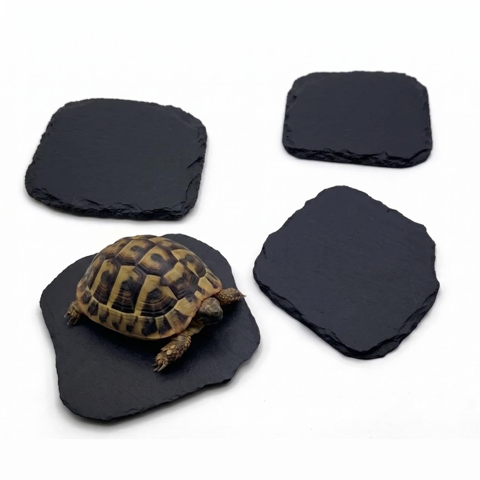FLZOOY 4 Pack Reptile Slate Platform Rock Basking Plate