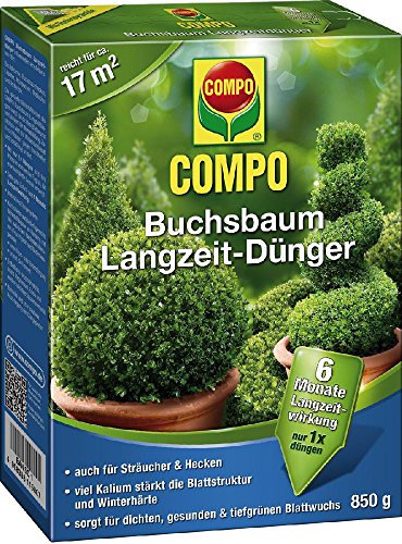 Preisvergleich Produktbild Buchsbaum Langzeit-Dünger COMPO BUCHS-LANG ZEITDÜNG. 850 21580