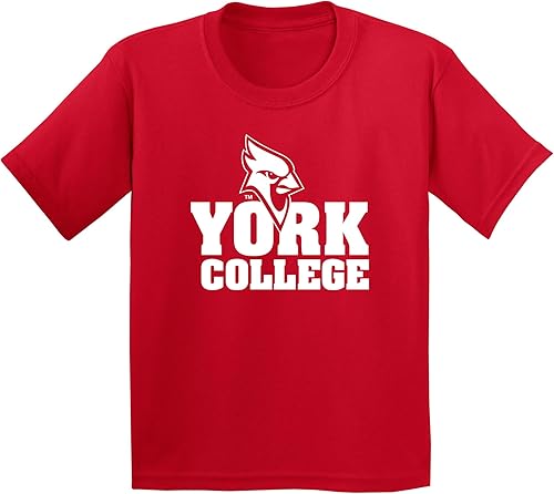 Miniatura 171 de NCAA Basic Block - Camiseta juvenil de color del equipo, universidad San Diego State Aztecs Negro