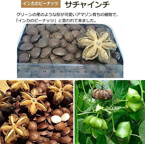 Amazon.co.jp: インカナッツ サチャインチ 10.5cmポット苗 : DIY・工具 