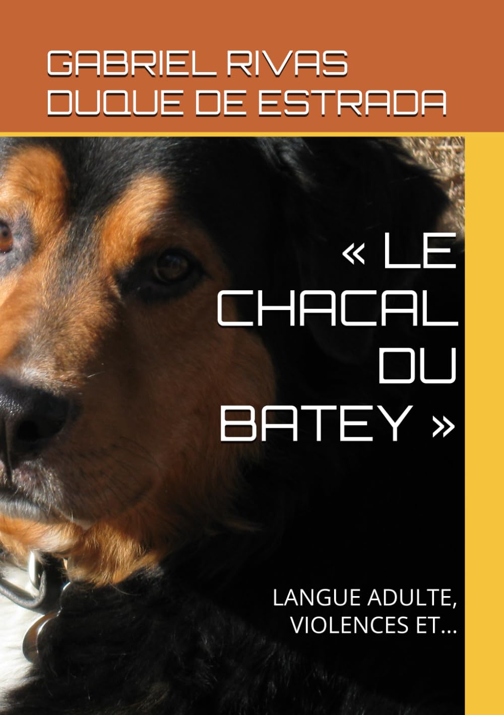 « LE CHACAL DU BATEY »: LANGUE ADULTE, VIOLENCES ET…