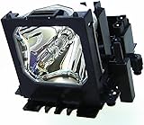 Garantie : WuiSing est responsable de toutes les descriptions et services de garantie des articles. Nous offrons un remboursement de 30 jours et un remplacement de 180 jours. Contactez notre service client professionnel si vous avez besoin d'une assistance supplémentaire.