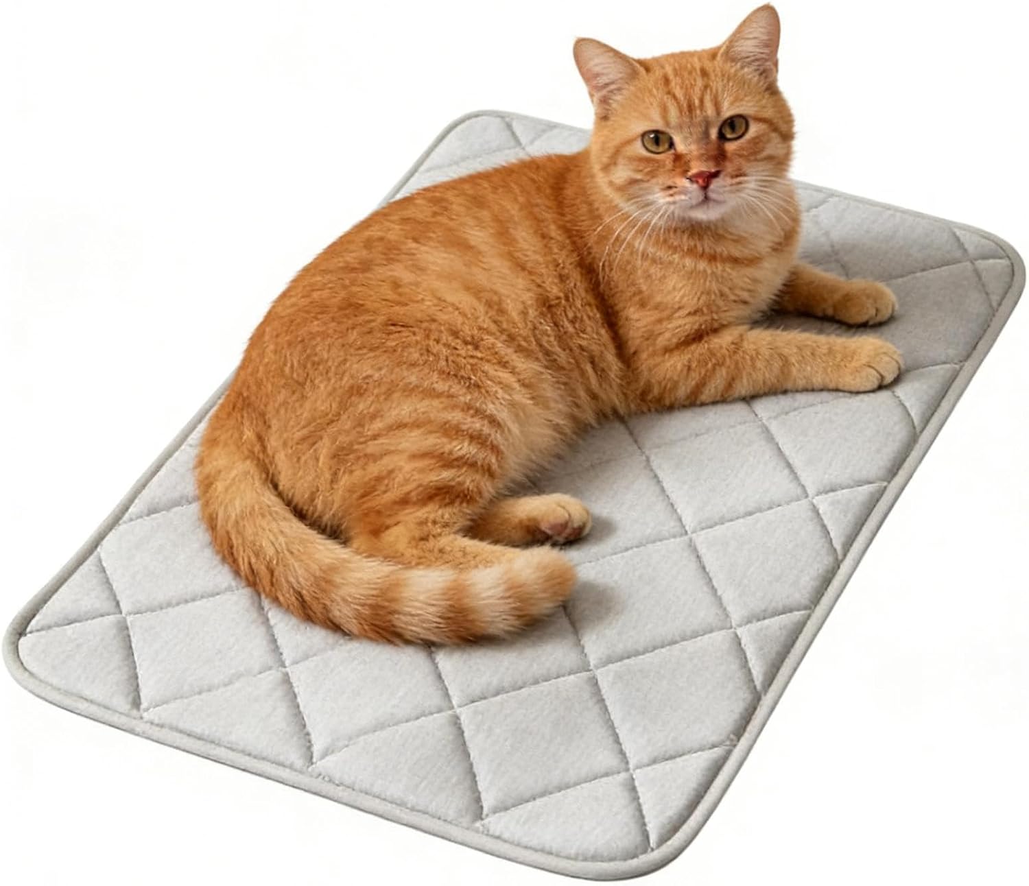 Cooling Pad Dog, Ice Silk Mat, 35 x 50 cm Washable Pet Bed with Breathable Fabric, Crate Insert with Non Slip Base, Indoor Outdoor Travel Accessory Cooling Comfort, Summer Supplies for Puppies