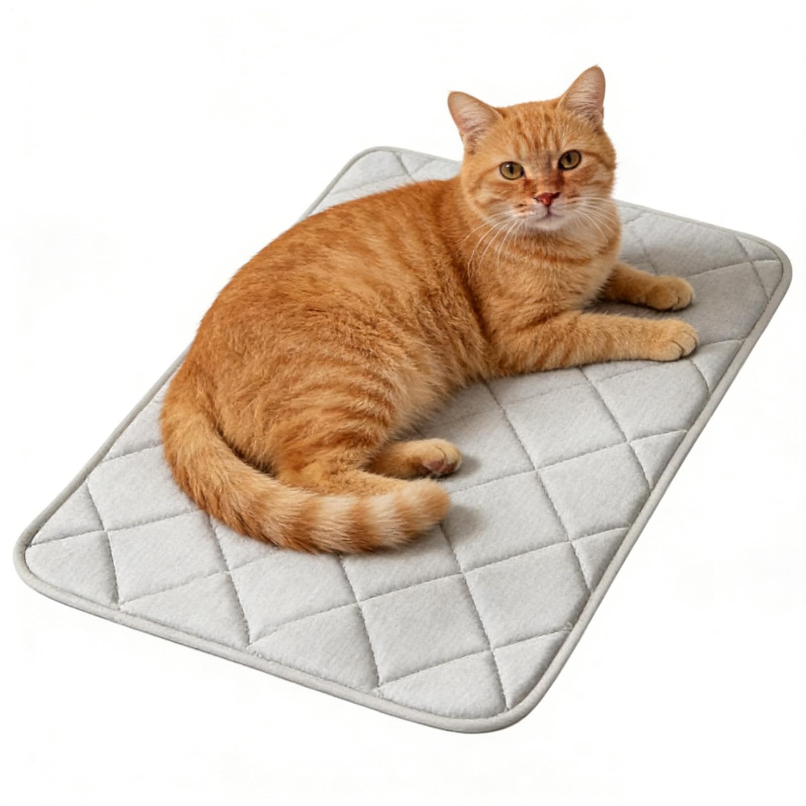 Cooling Pad Dog, Ice Silk Mat, 35 x 50 cm Washable Pet Bed with Breathable Fabric, Crate Insert with Non Slip Base, Indoor Outdoor Travel Accessory Cooling Comfort, Summer Supplies for Puppies