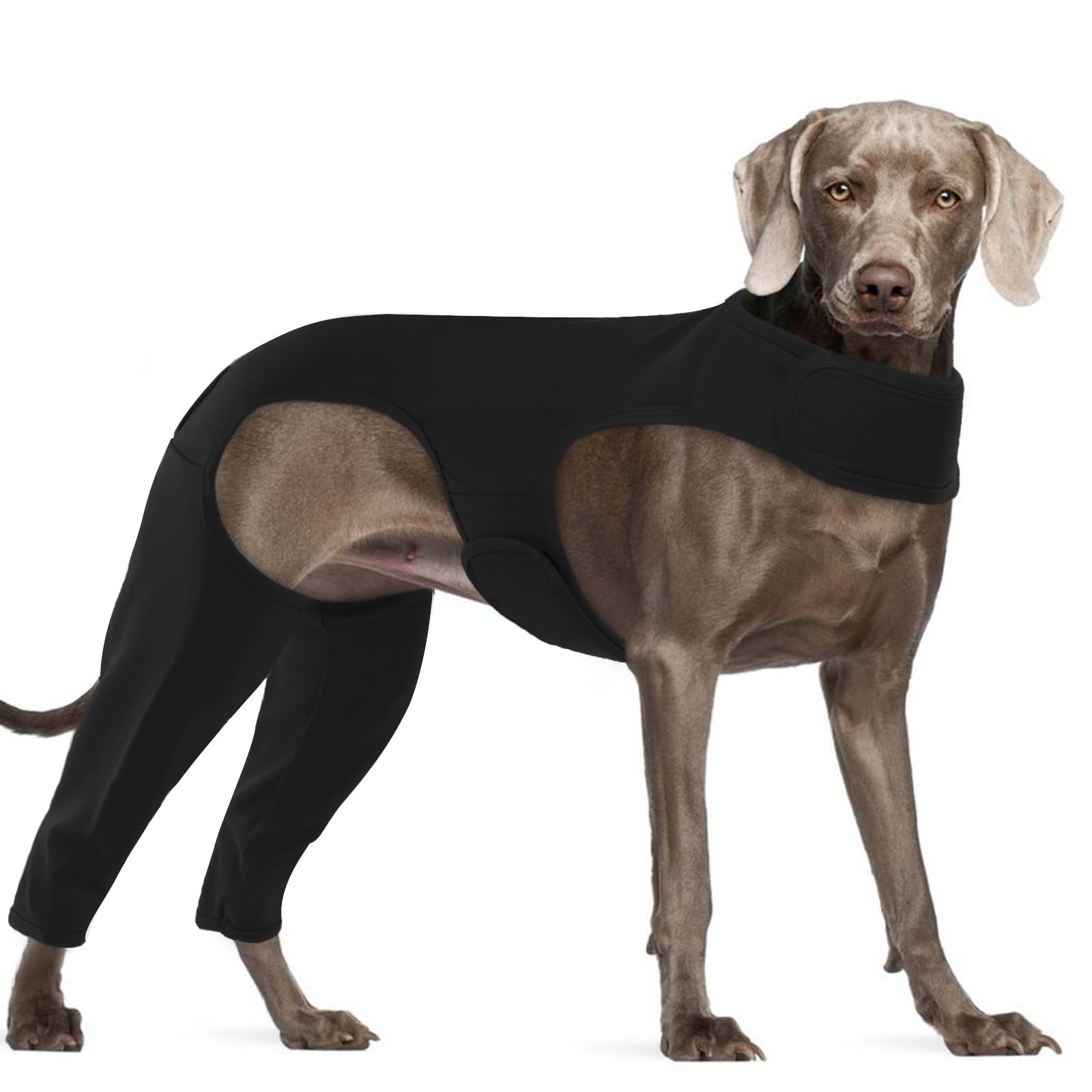 Tuta Cani Post Intervento, Body Post Operatorio Cane Cotone, Tuta Cane Post Operatorio Femmina Maschio,Manica Anti Leccatura del Cane sulla Gamba Posteriore,Collare Elisabettiano Alternativa