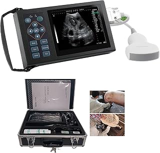 Probador veterinario de embarazo por ultrasonido B con sonda convexa, pantalla HD de 5.6 pulgadas, medición rápida de grasa en la espalda, cuerpo totalmente metálico, versión mejorada para uso en