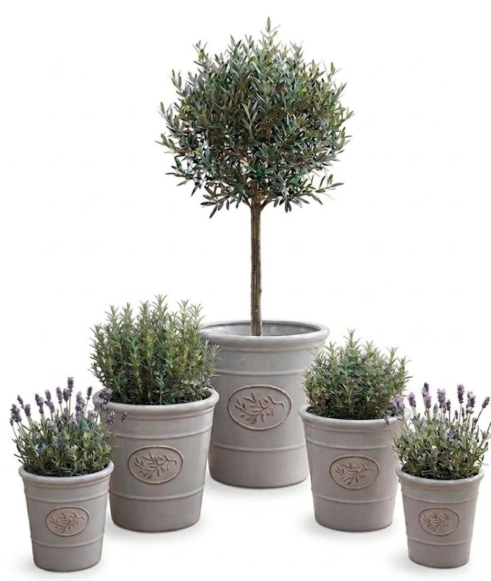 Garden Plant Pot Plastic Outdoor & Indoor Use, Heavy Duty, Frost Proof Small and Large, with Drainage Holes, Sage Green Grey, 17cm, 23cm, 30cm, 40cm Or 55cm (Light Grey, 17cm x 17cm 2.4 Litres)