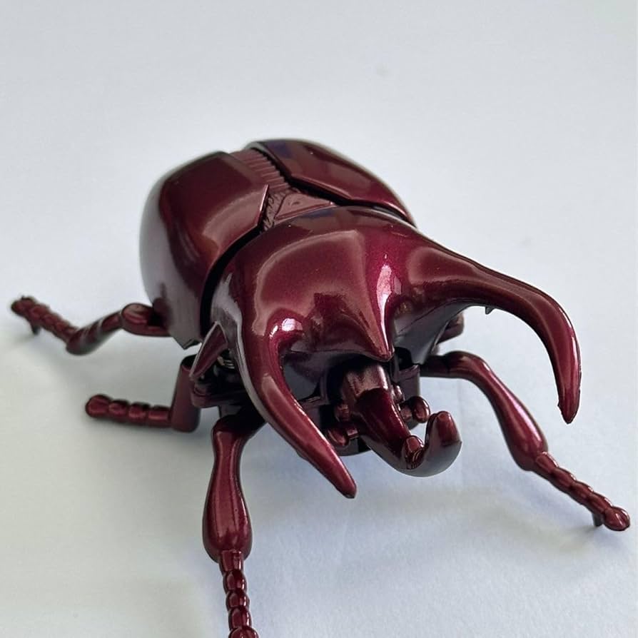 Amazon.co.jp: Homilius カブトムシ ぜんまい 3匹セット ムシ