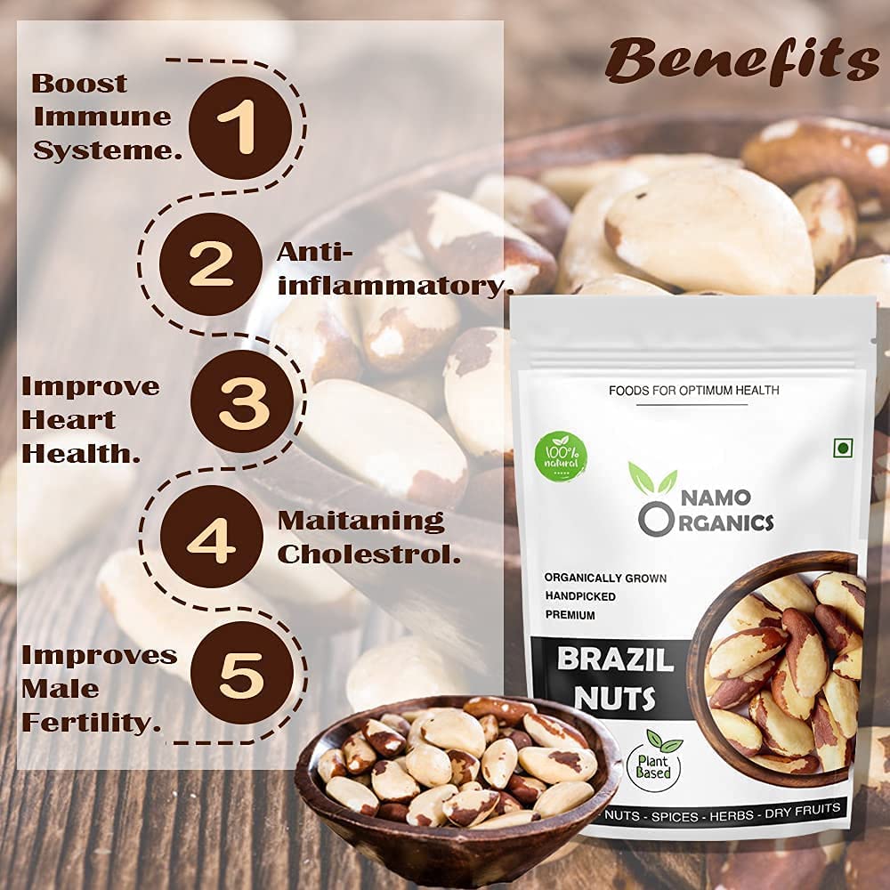 AOZA Namo Organics – handverlesene Paranüsse – 500 g – Selenreiche trockene Früchte aus biologischen Paranüssen