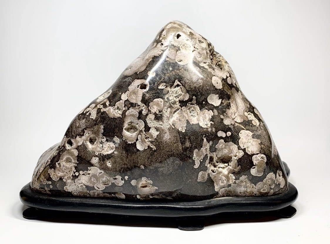 新潟産梅花石 鑑賞石 石 天然石 原石 鉱物 鉱石 置物 オブジェ インテリア