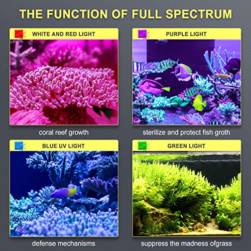 Phlizon TANKLIGHT 165W Dimmable Full Spectrum Aquarium Led Light Fish Tank Led Reef Decoration Light thumb #4