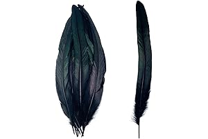 50pcs Black Long Rooster Coque Tail Raven Feathers 13-16Inches for Crafts