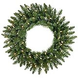 Vickerman Clear Dura-lit Lights Frosted Bellevue Alpine Artificial Christmas Wreath, 20-Inch, A861022