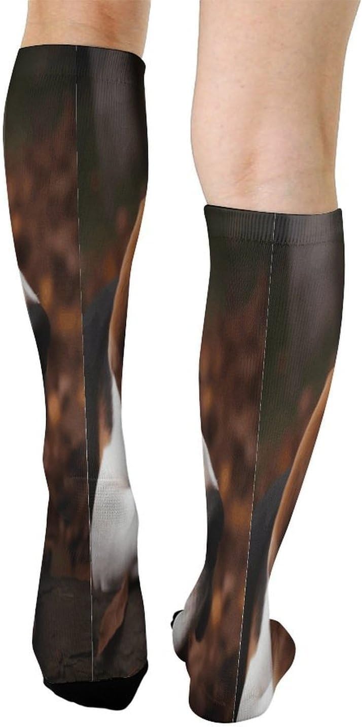 Cute Beagle Mid-Calf Socks Women Warm Knee High Socks Cozy Hiking Skiing Soft Boot Mid Calf Stocking Unisex