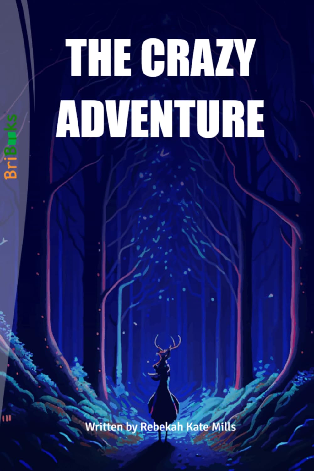 THE CRAZY ADVENTURE