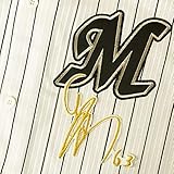 千葉 ロッテ マリーンズ 刺繍 ワッペン 和田 康士朗 サイン 白布 応援 和田康士朗