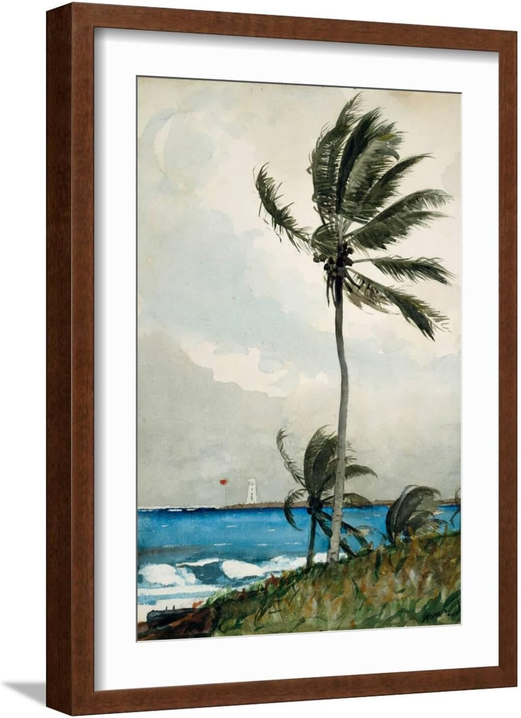 ART.COM Wall Giclee Print Palm Tree, Nassau, 1898 by Winslow Homer, 16" x 24"