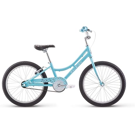 Raleigh MXR 20: Your Gateway to Off-Road Adventures