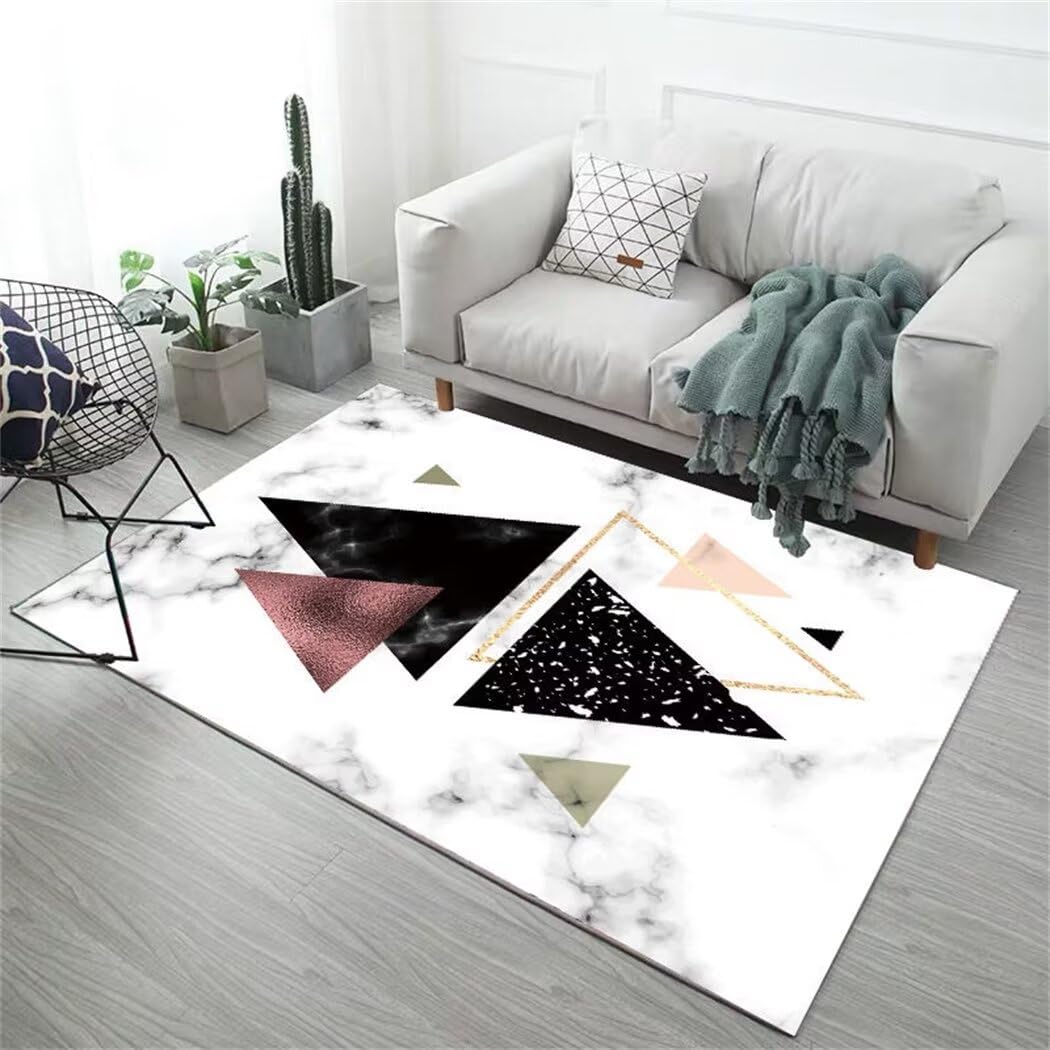 Tapis de salon noir et blanc lavable pour enlever les taches