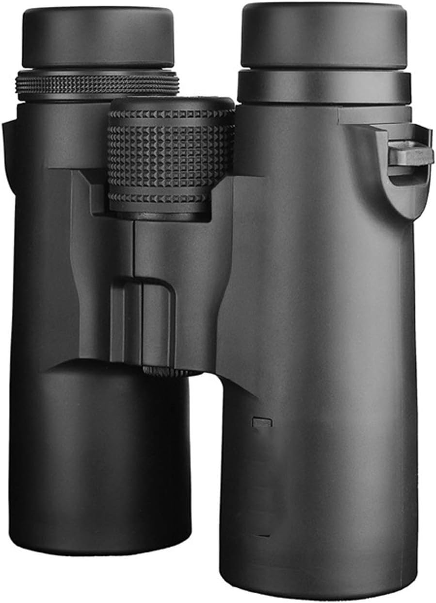 真作】F6 白川杏子【光り咲く花】 gallery購入品 共シール有り 油彩 真