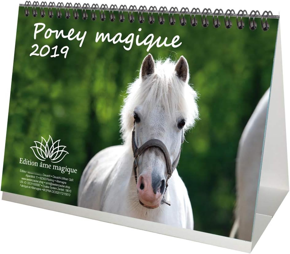 Magic Pony · Desk Calendar 2019 · 21.0cm x 16.3cm · Horses · Horse · Horse Riding · Foal · Stallion · Mare · Magic Core Edition