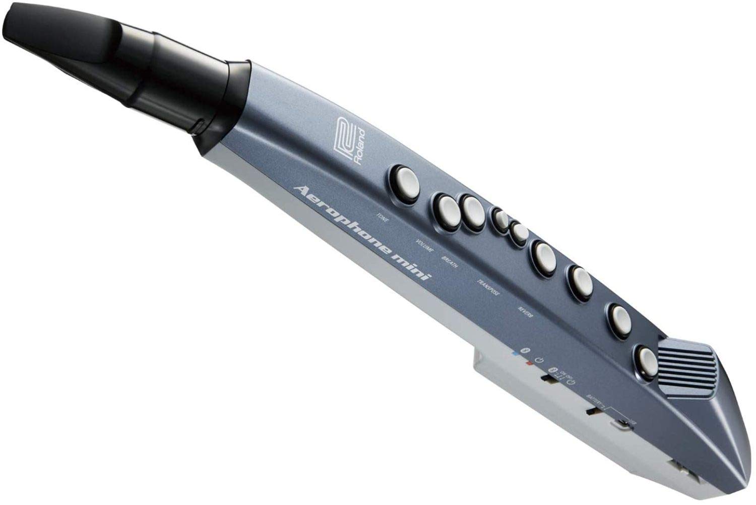 Roland AE-01 Aerophone Mini Digital Wind Instrument : Amazon.in