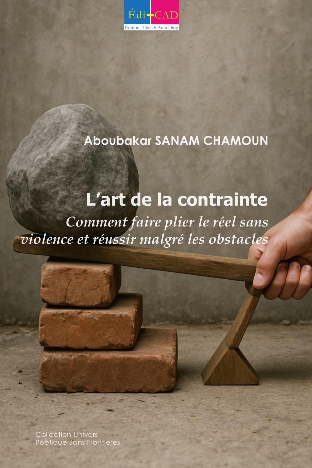 L’art de la contrainte: Comment faire plier le réel sans violence et réussir malgré les obstacles